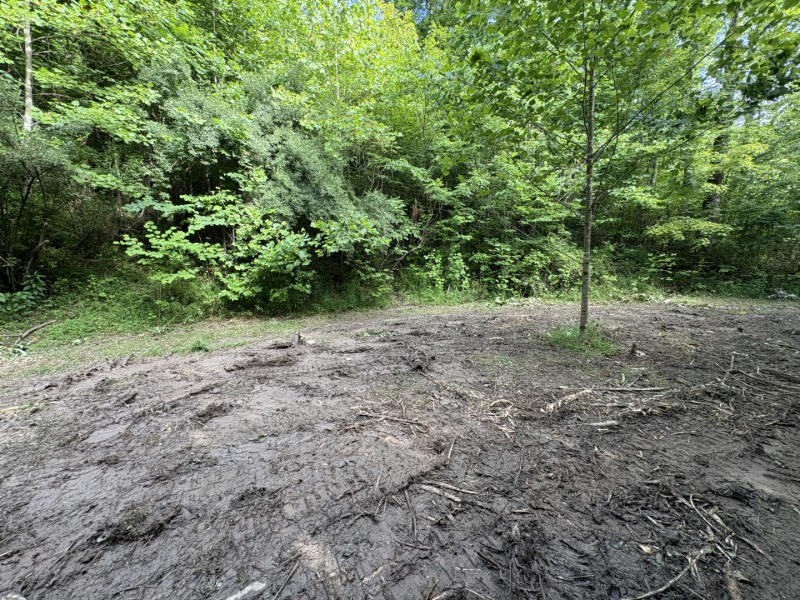Unwind in Mountain Stillness: Tract 3 Martins Creek